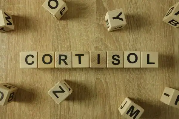 The Hidden Connection: How Stress Shapes Your Fitness and Body Composition 2 Image saying "Cortisol" and how stress Stanford-le-Hope impacts your wellbeing and bodies shape